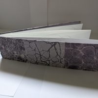 Extended Cognition cover