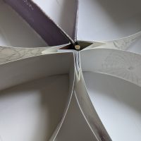 Extended Cognition detail