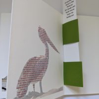 What a Wonderful Bird is the Pelican Nonsense verse