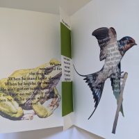 Verses - frog and swallow Verses