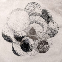 Spheres
